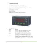 GIC 85-270 VAC/DC Process Indicator PIB12C